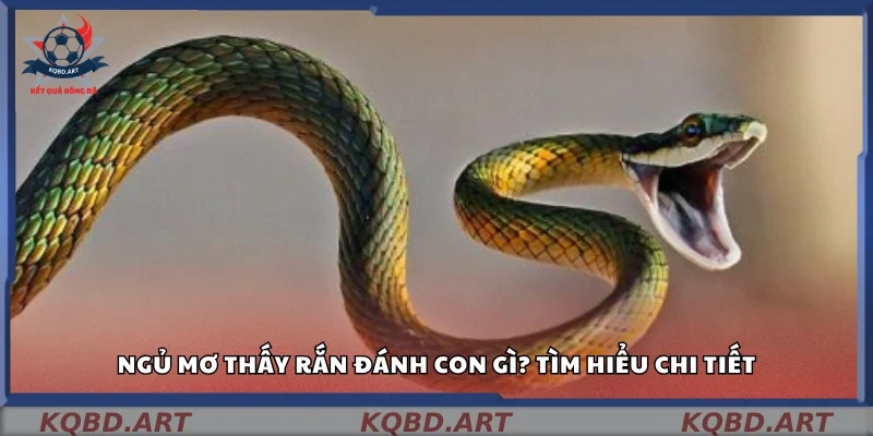 Ngủ mơ thấy rắn đánh con gì? Tìm hiểu chi tiết