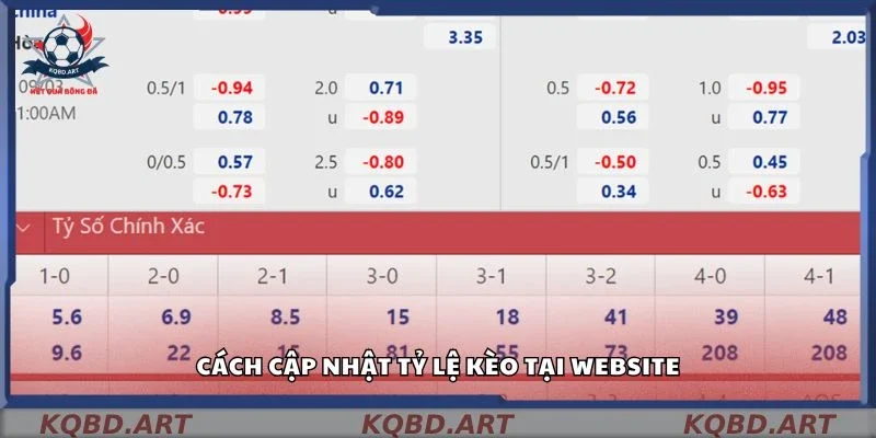 Cách cập nhật tỷ lệ kèo tại website