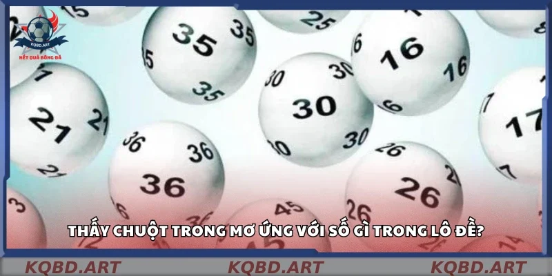 Mơ thấy chuột nên đánh số gì?